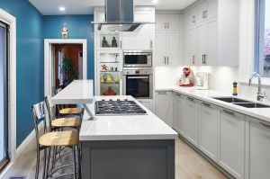 Affordable Excellence: Streamlining Your Kitchen Renovations with Ease